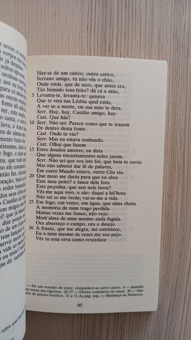 António Ferreira, Poemas Lusitanos e Castro