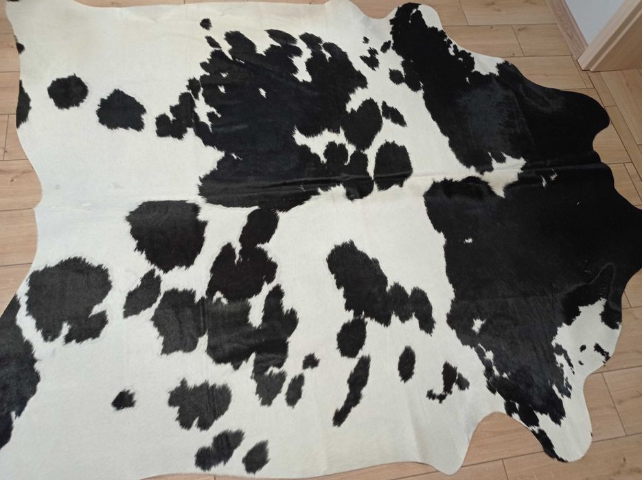 Ogromna Skóra Krowia Naturalna 230x200 cm – Łaciata, Unikat