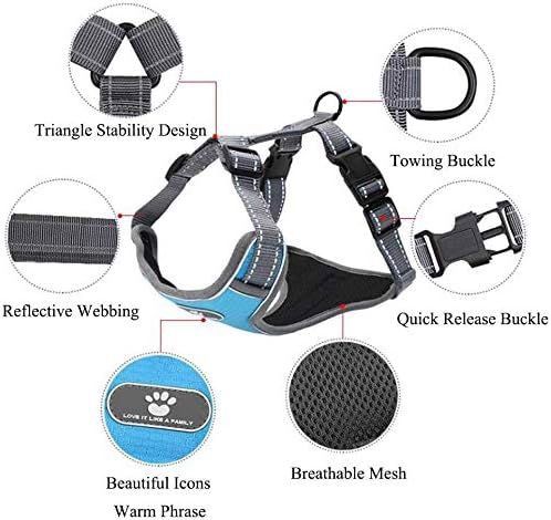 Regulowane szelki ze smyczą odblaskowe niebieski l