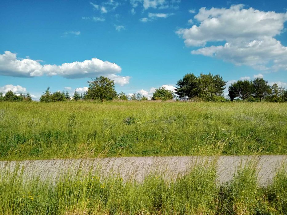 sprzedam działkę  budowlaną -budowę w trakcie i wiele innych  działek - Widok 2