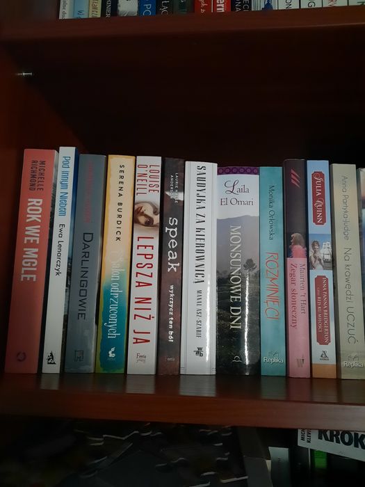 Książka Diablica z Wall Street