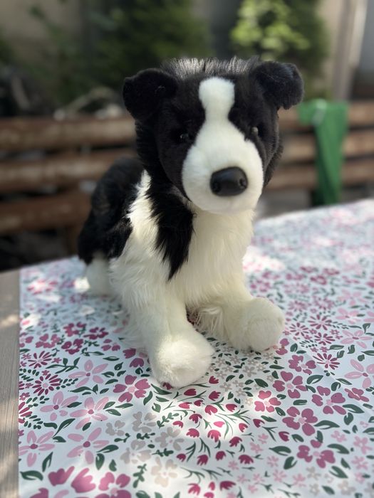 Border  collie douglas cuddle toys