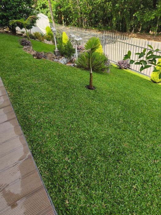 Serviços jardinagem