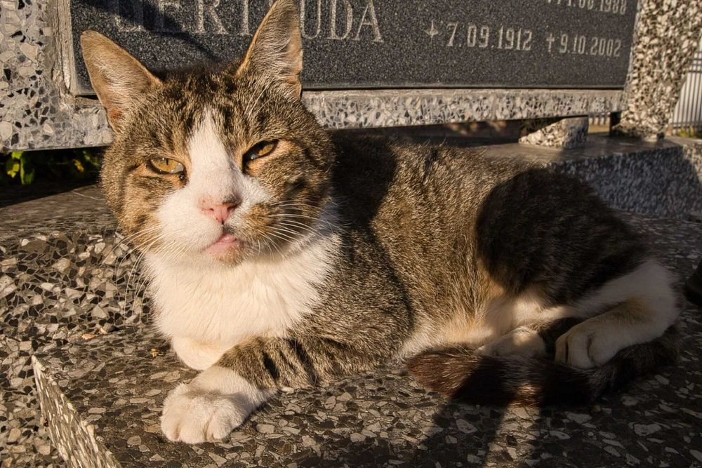Serduszko Jasia cicho i pokornie czeka...
