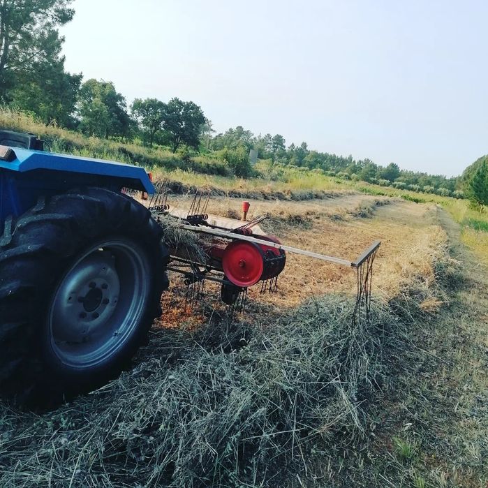 Vendo fardos de palha de feno nascidisso e de azevem campanha 2025