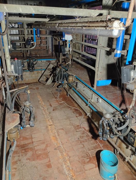 Hala udojowa auto tandem alfa laval 2×2