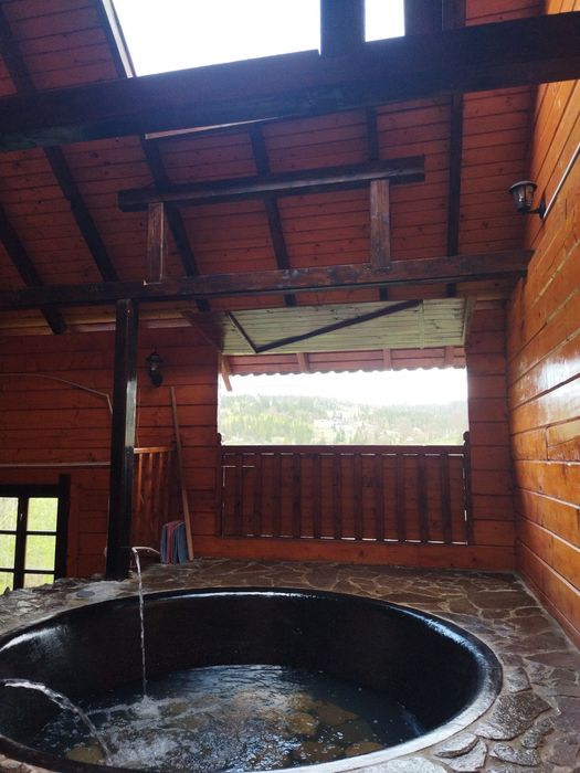 Відпочинок в Славську. Котедж над річкою