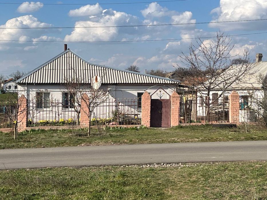 Будинок у селі Нечаяне