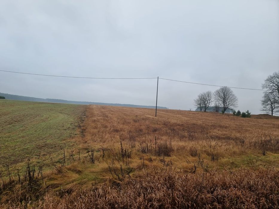 Wydzierżawię grunt rolny