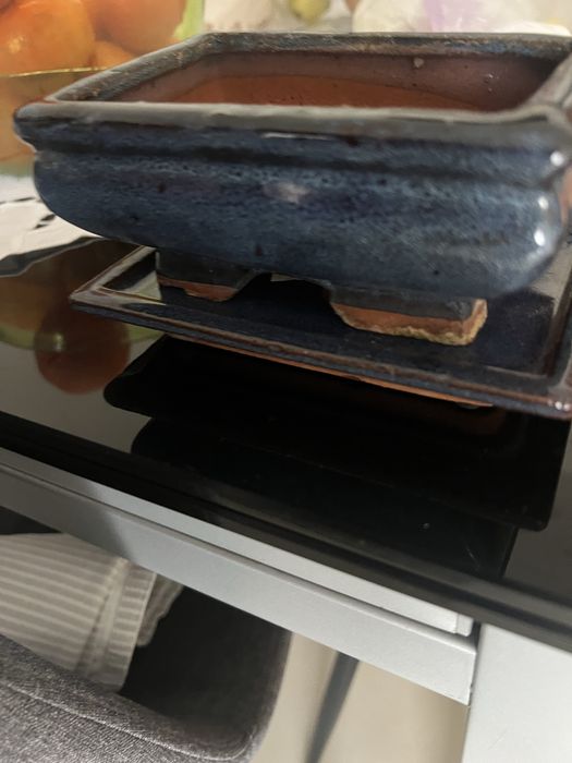 vaso bonsai azul malhado