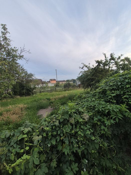 Продам дом в городе