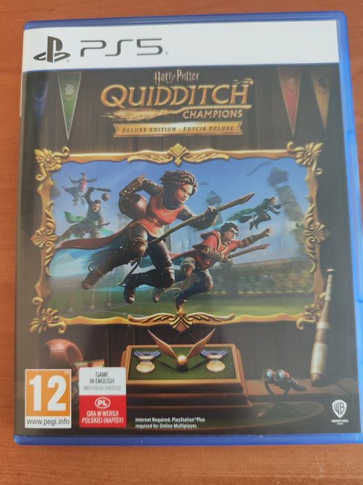 Harry Potter Mistrzowie quidditcha. Wersja Pl