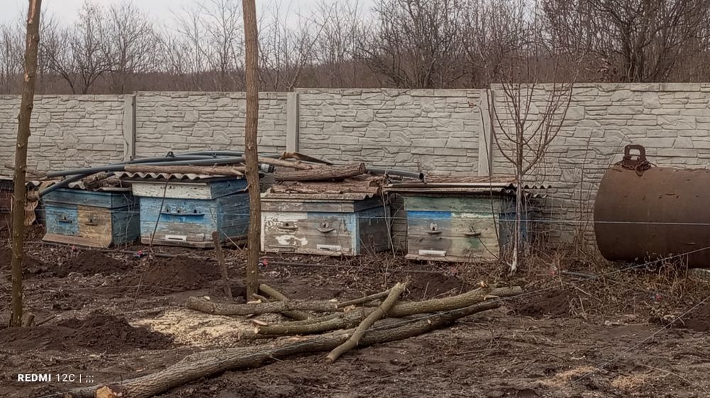 Улья Пустие вулики