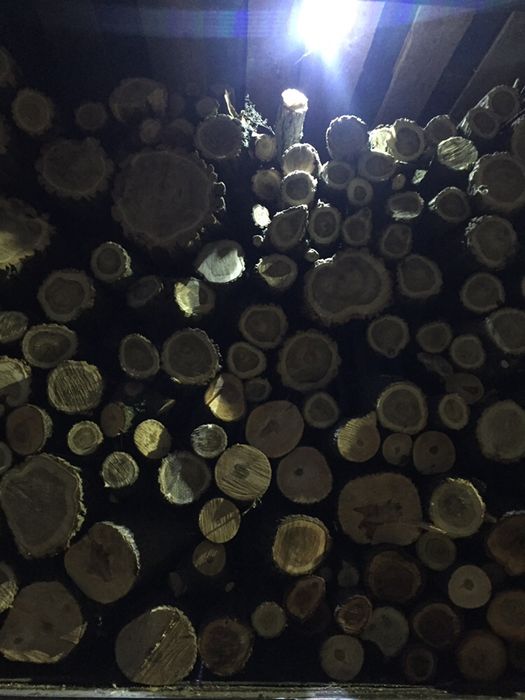 Продам дрова дубові