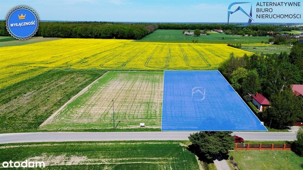 Ustawne działki w Smugach nieopodal lasu