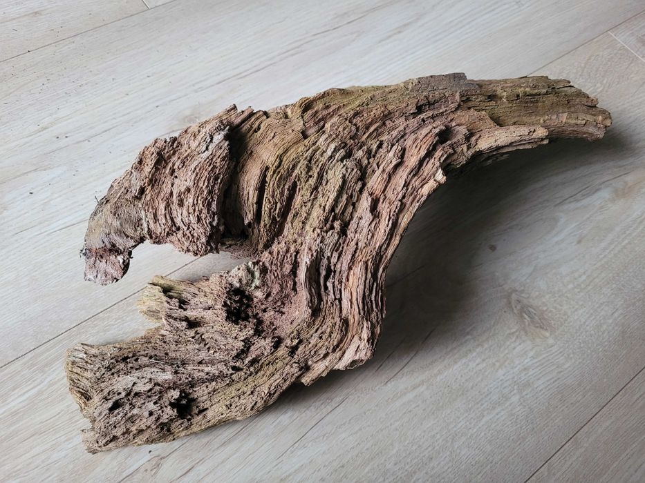 korzeń do akwarium terrarium agama , gekon