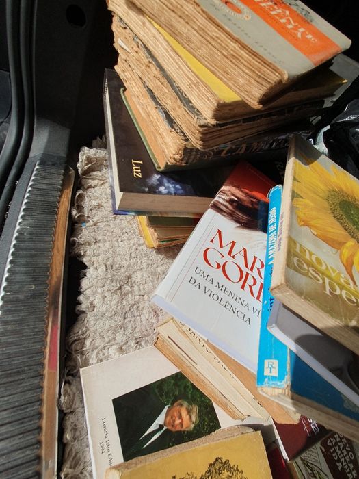 Livros diversos antigos e Bíblia