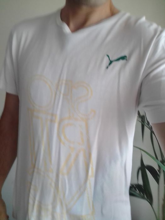 Casaco oficial Sporting