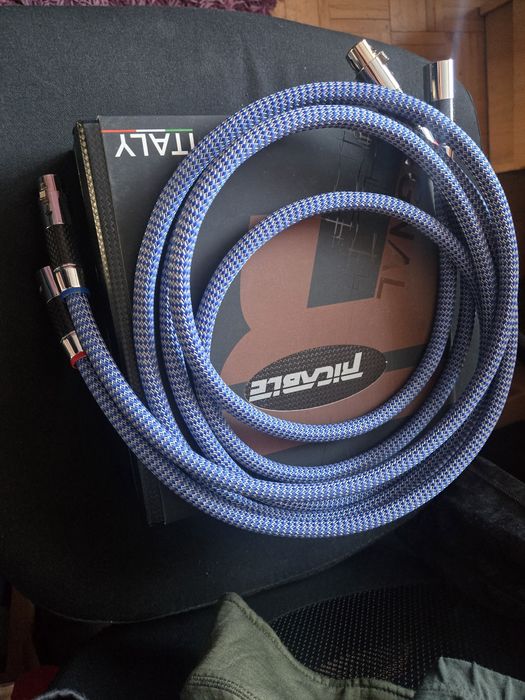 Ricable invictus xlr-xlr 2m