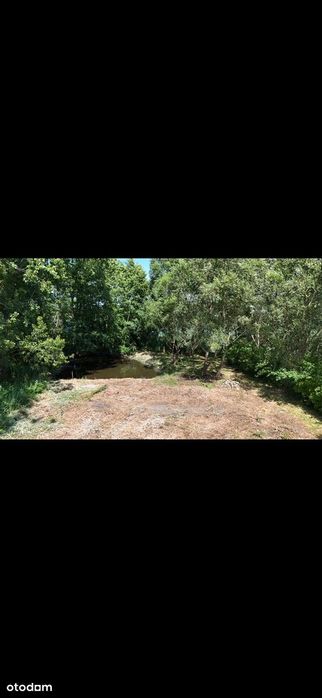 Siedlisko, działka 4181 m² z linią brzegową Ostrowite Prymasowskie - Widok 5