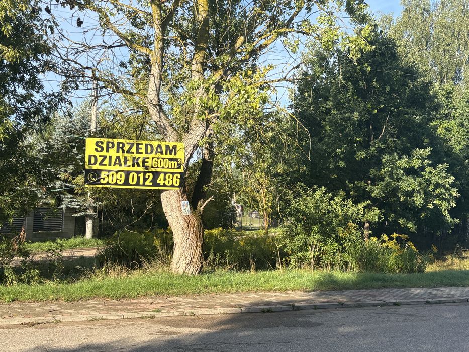 Zdjęcie 2