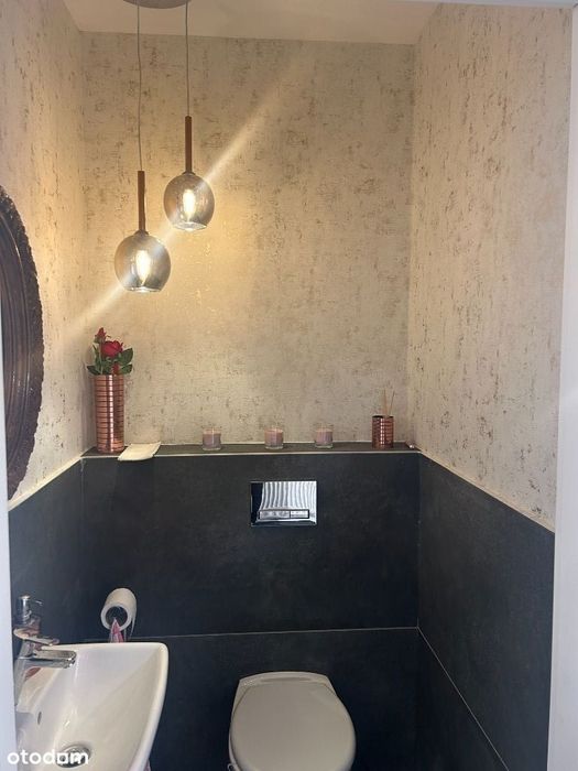 lokal do wynajęcia