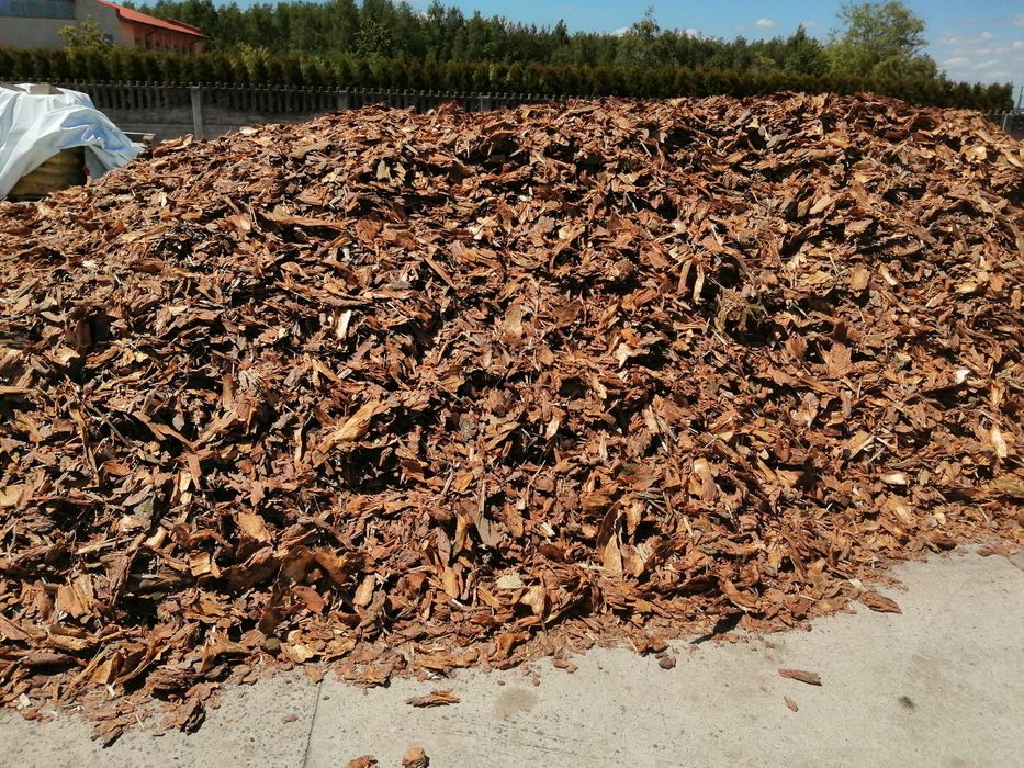 Kora sosnowa. Worki 50l i 80l