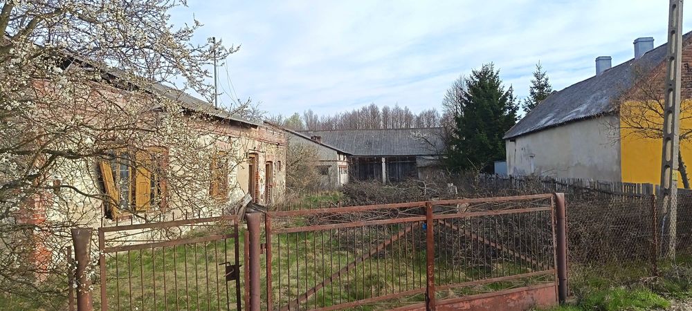 Dom z działką i budynkiem gospodarczym