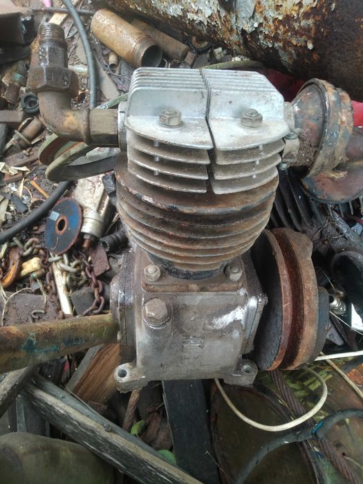 półośka żuk nysa tarpan