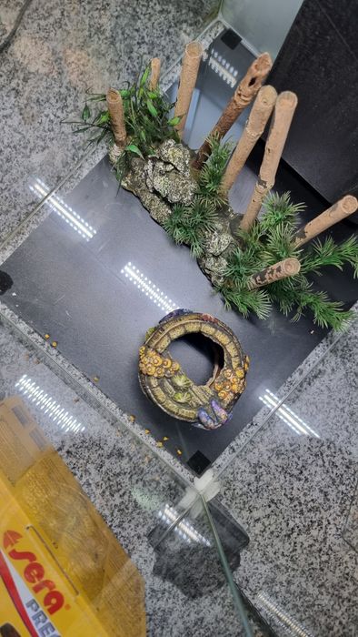 Aquario + luz +motor + aspirador