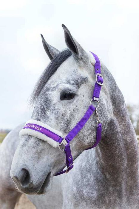 Kantar Howard Halter Horze Full