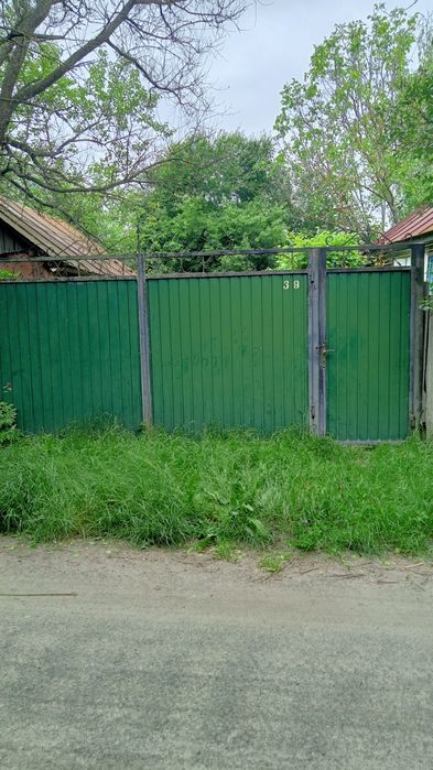 Простора садиба 0,5га (50сот.)біля  Брусилова (с.Ковганівка). Власник.