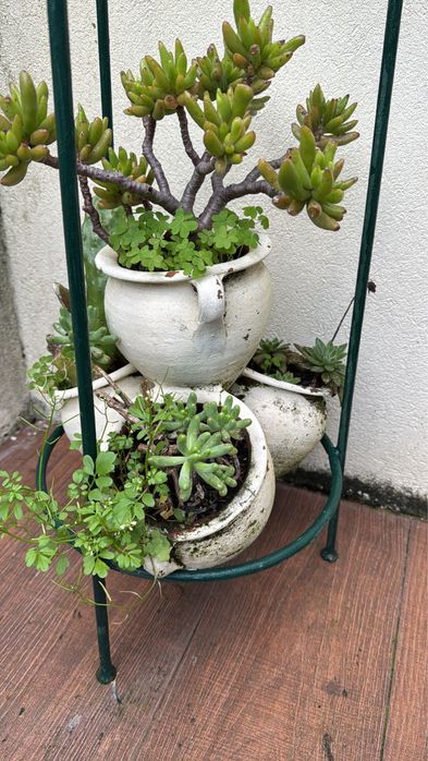 Vaso com 3 espaços para plantas