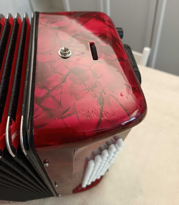 Acordeão para iniciação