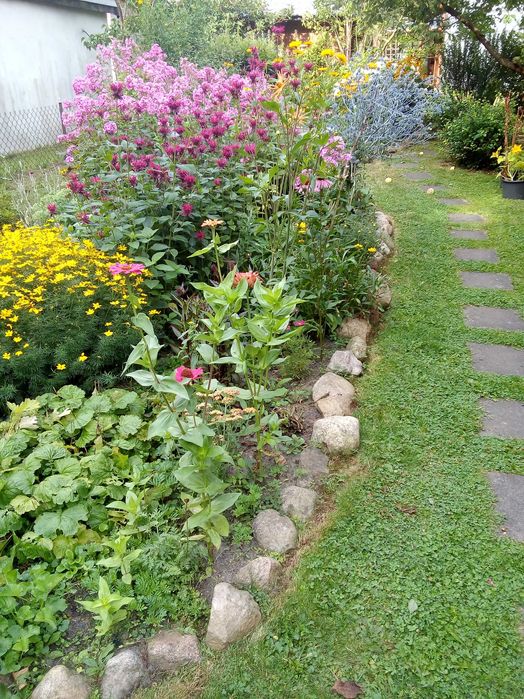 Działka ROD w Regnach