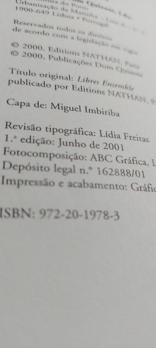 Livres Juntos, O Individualismo na Vida Comum - François de Singly