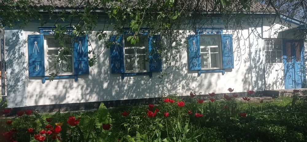 Продам будинок с.Гаркушинці