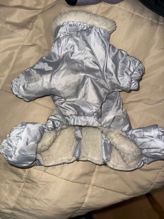 Одяг для шпіца йорка малого песика