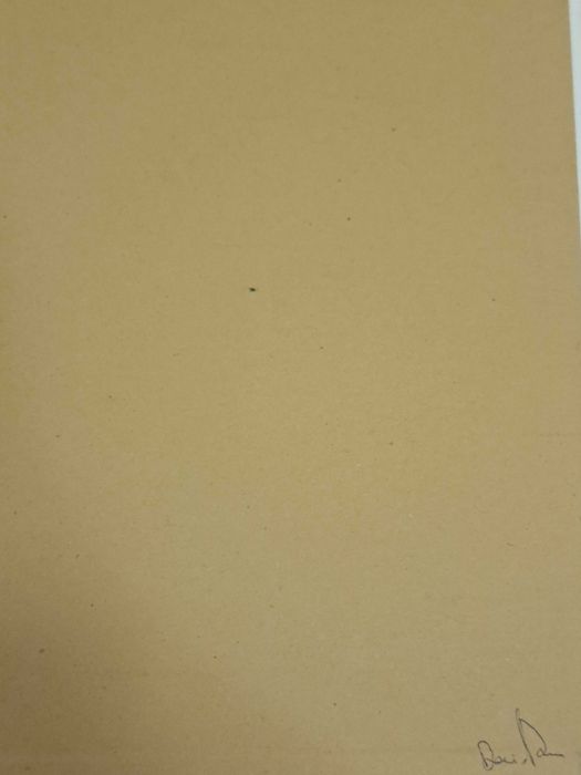 Pintura em tela David Pereira