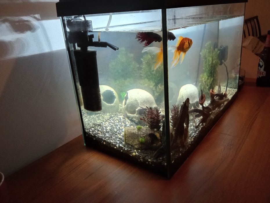 Akwarium aquael 72 L