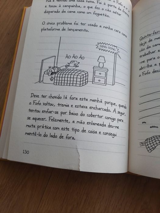 Livros o diário de um banana