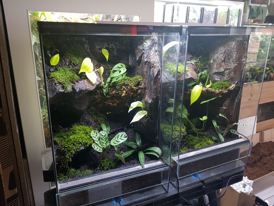 Terrarium tropikalne aktywne biologiczne z wodospadem
