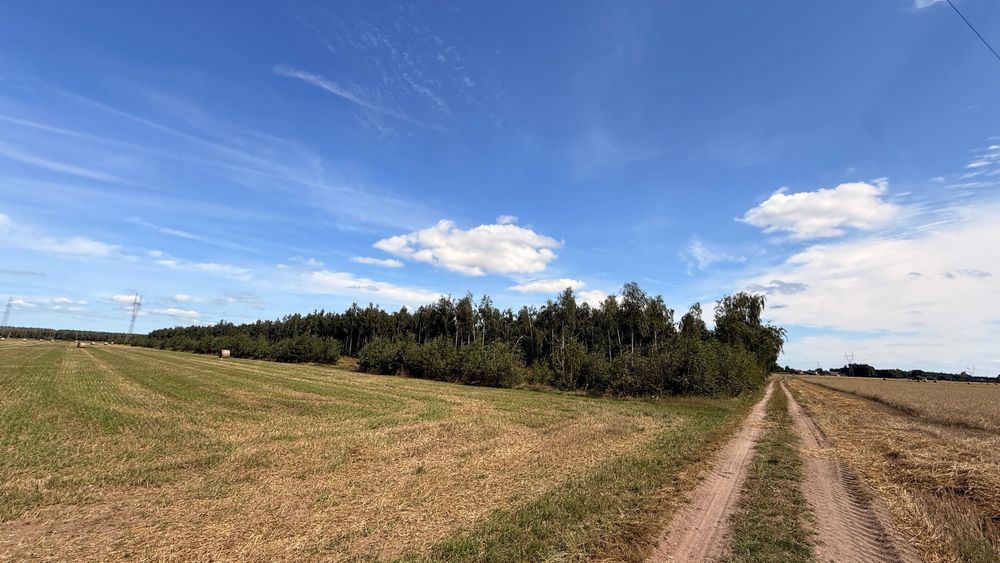 Działki z prawem zabudowy wśród łąk, pól i lasów – Marcewek, gmina Słupca