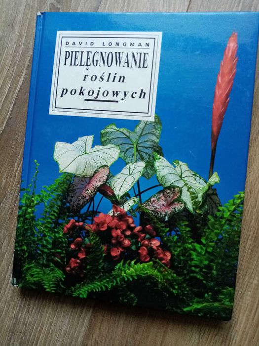 Pielęgnowanie roślin pokojowych  Balkon i taras  Mój balkon