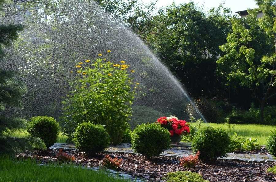 Nawodnienia, zakładanie i pielęgnacja ogrodów