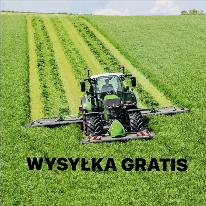 Mieszanka traw lucerna koniczyna gorzowska kupkowka festulolium trawa