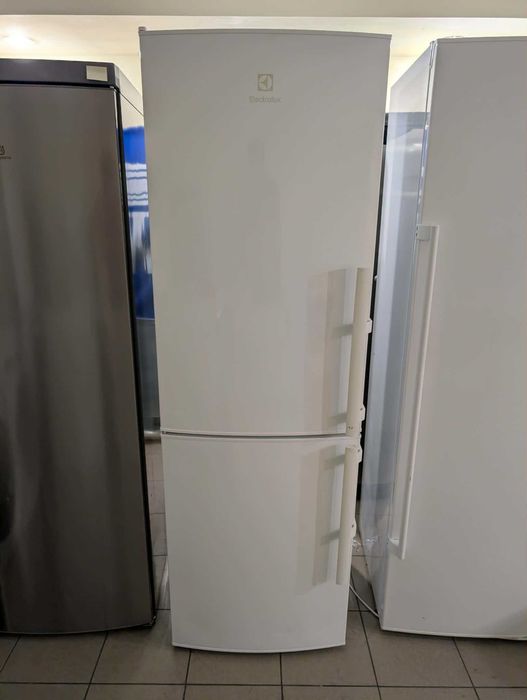 Lodówka Electrolux LNT4TE33W NoFrost | GWARANCJA 6msc.