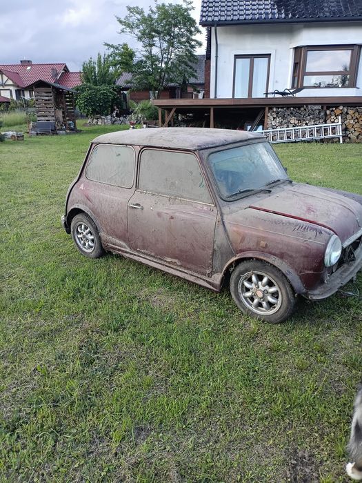 Mini 1000
