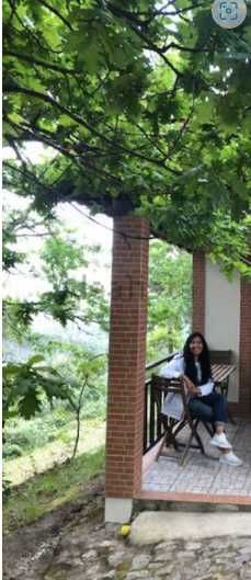 Terreno  400 m² - pinhal e eucaliptos