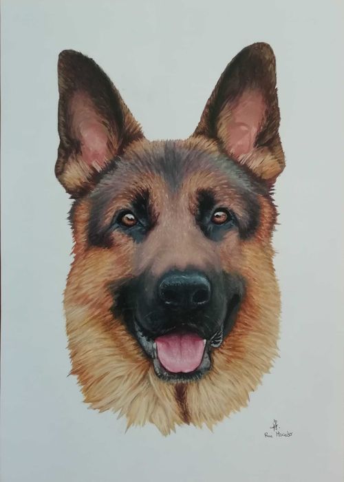 Quadros / Pinturas a óleo